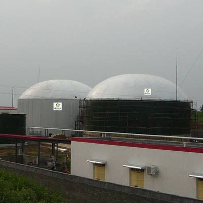 H2S बायोगैस शोधन उपकरण 10ppm वेट ग्रिप गैस डिसल्फराइजेशन