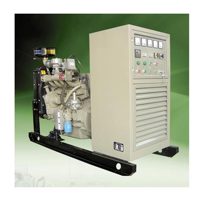 सबसे छोटा 200KW बायोगैस बिजली जेनरेटर साइलेंट मीथेन जेनरेटर बिजली